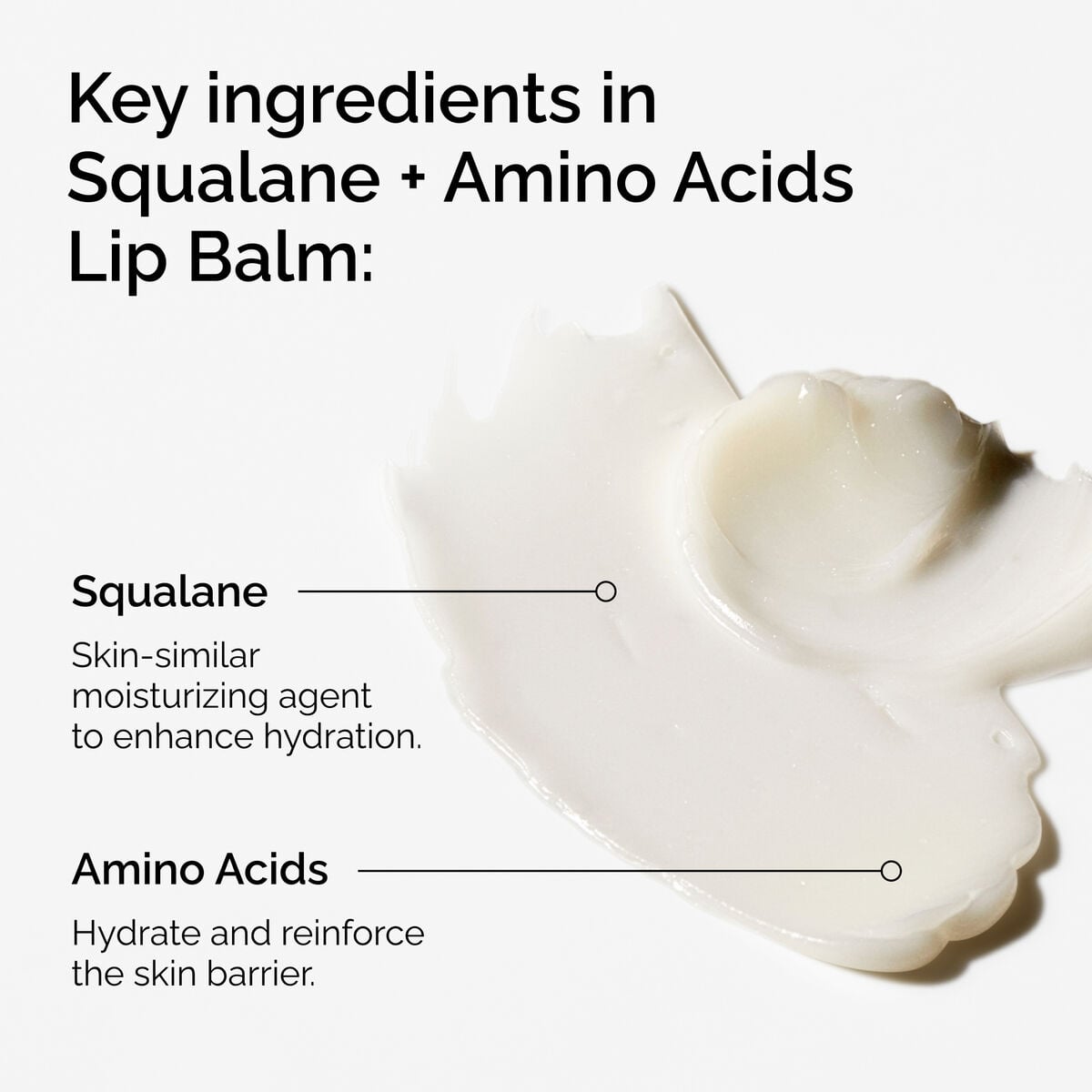 squalane-amino-acids-lip-balm-g9 FY25-D41247-ORD-Web-PDP-Sql-Amino-Lip-1x1-EN-2a.jpg