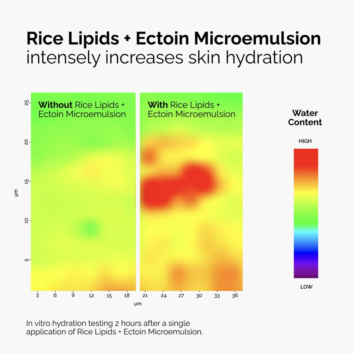 rice-lipids-ectoin-microemulsion-z5 ord-rice-lipids-ectoin-microemulsion-thermal-before-after.jpg